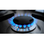 Injecteur gaz ou gicleur gaz de 0,48mm pour cuisinière LADEN