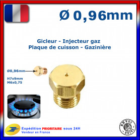 Injecteur gaz ou gicleur gaz de 0,96mm pour cuisinière