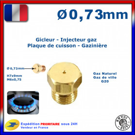Injecteur gaz ou gicleur gaz de 0,73mm pour cuisinière LEISURE