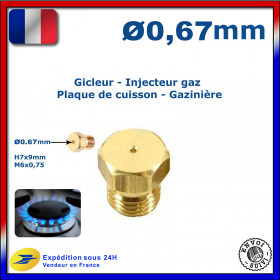 Injecteur gaz ou gicleur gaz de 0,67mm pour cuisinière GORENJE
